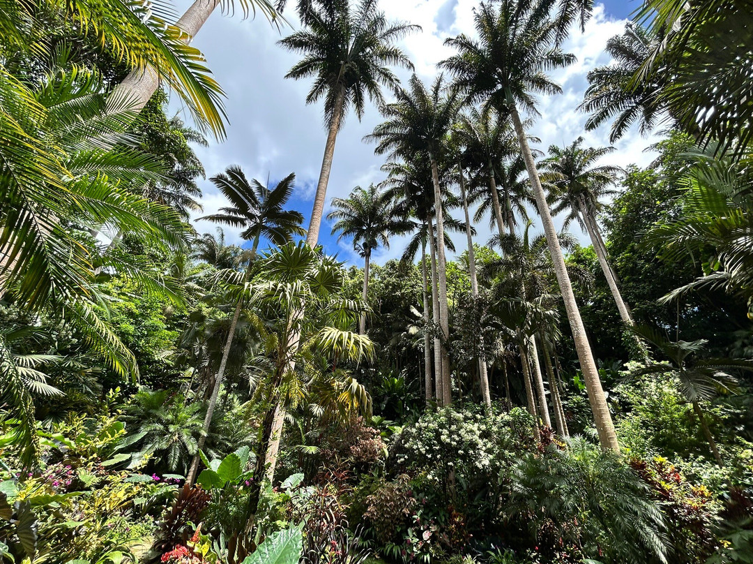 MHKK Tours & Taxi Service-Rockley必去景点