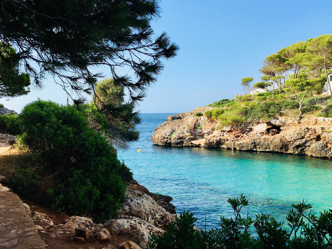 Cala d'Egos-Andratx必去景点
