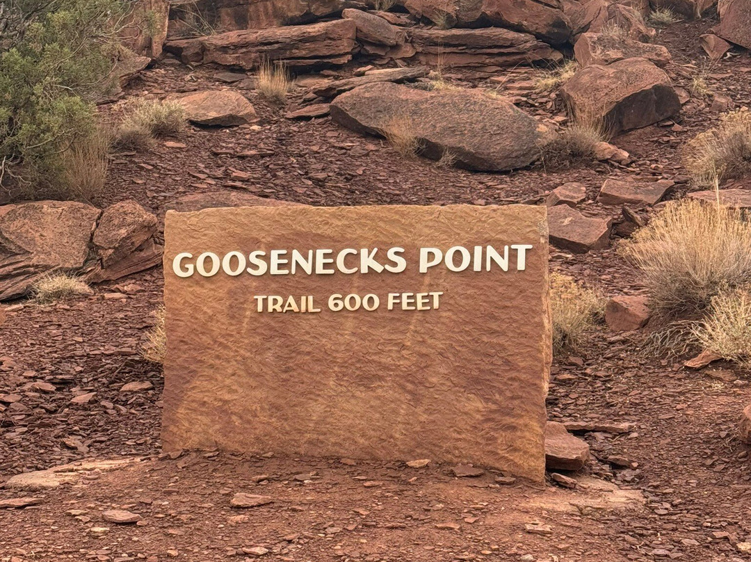 Goosenecks Overlook-圆顶礁国家公园必去景点