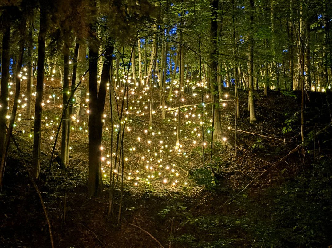 Foresta Lumina-Coaticook必去景点