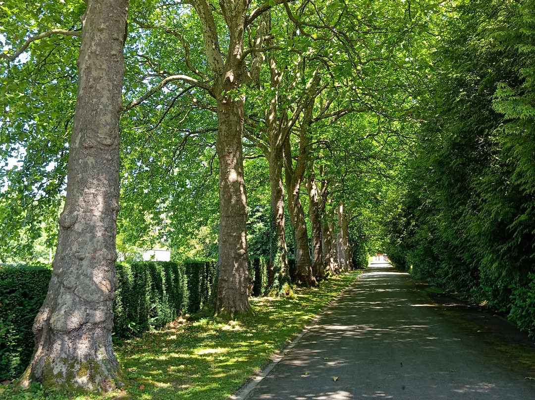 L'abbaye Notre-Dame de Scourmont-Chimay必去景点