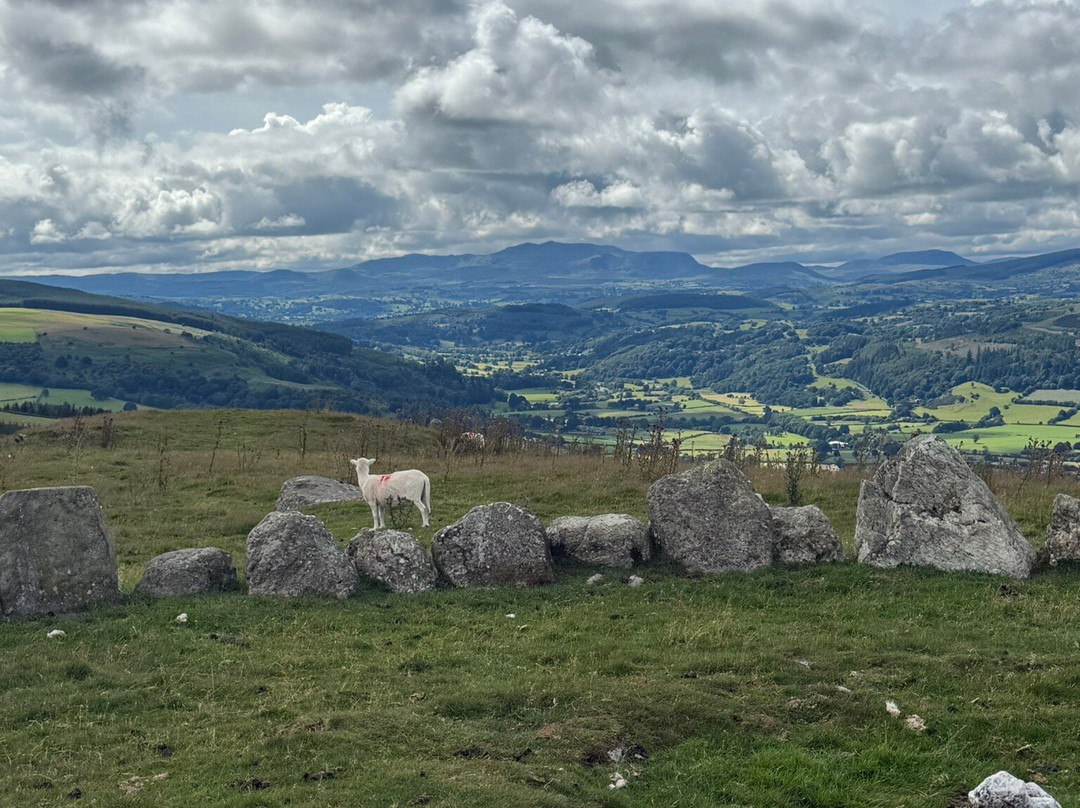 Moel Ty Uchaf-Llandrillo必去景点