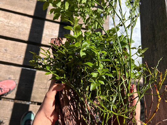 Experience Val di Sole-Mezzana必去景点