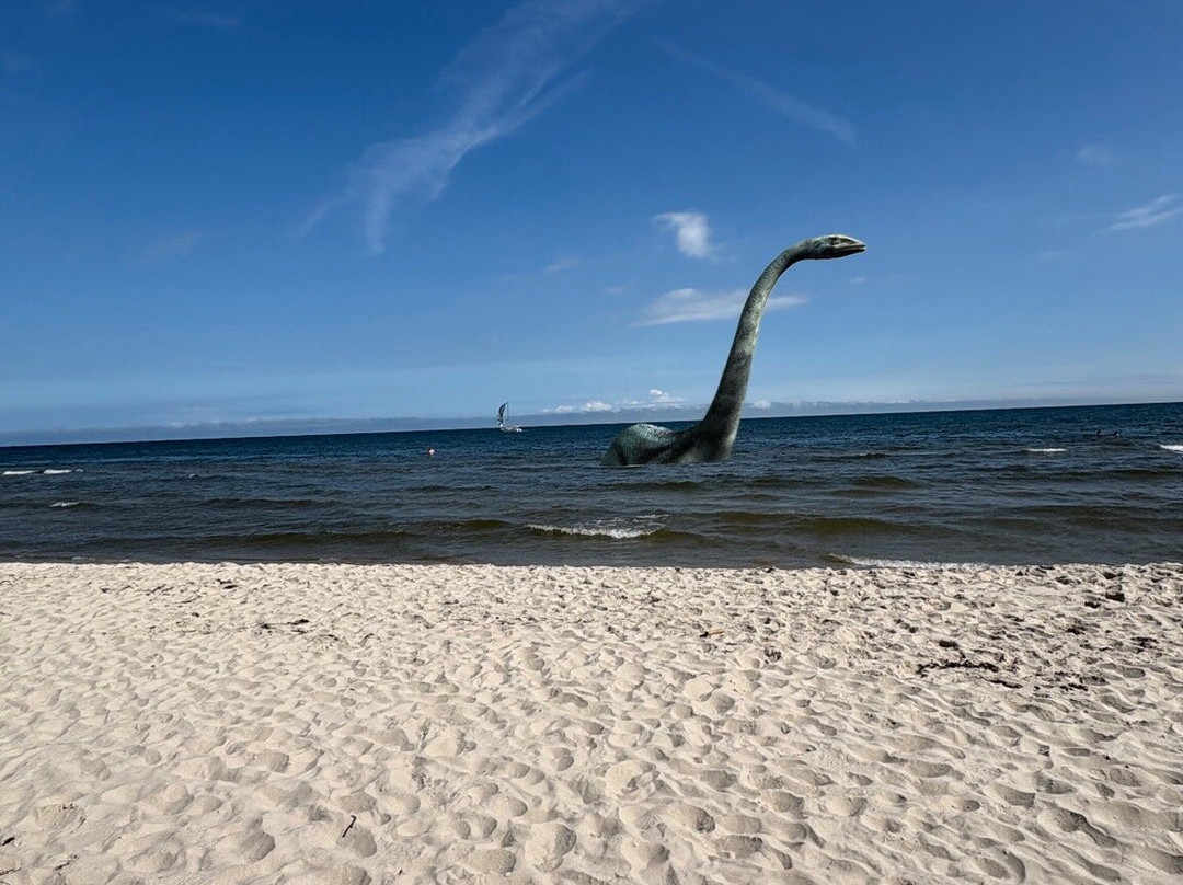 Sandhammarens Strand-Loderup必去景点