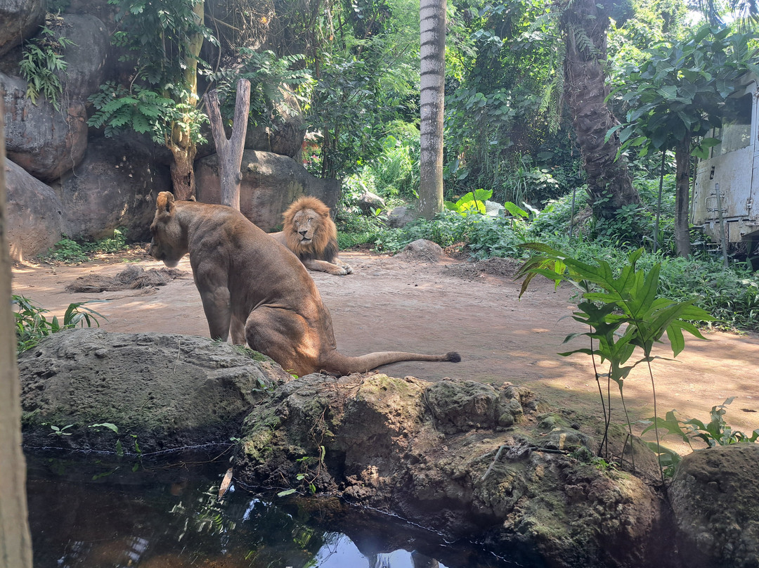 LADINAtour-登巴萨必去景点