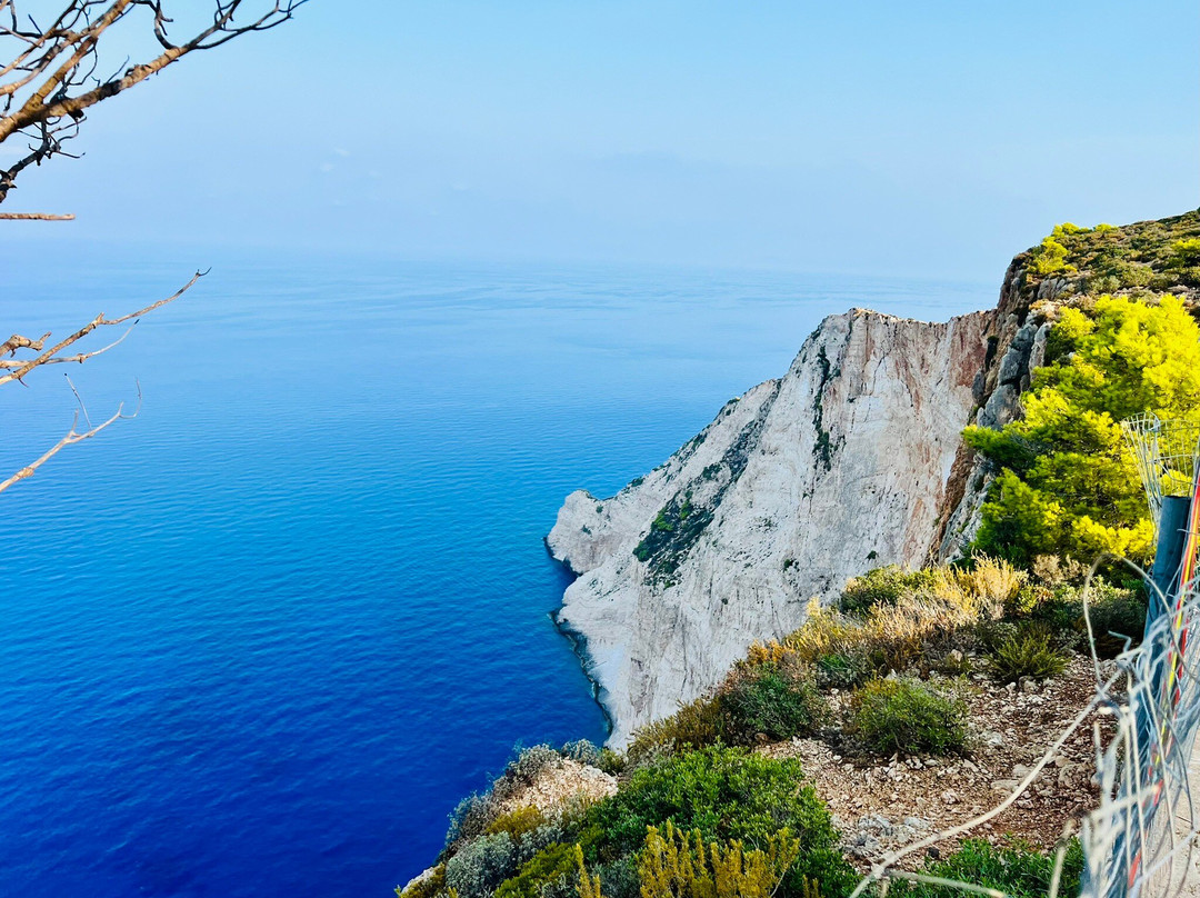 Olive Tree-扎金索斯必去景点