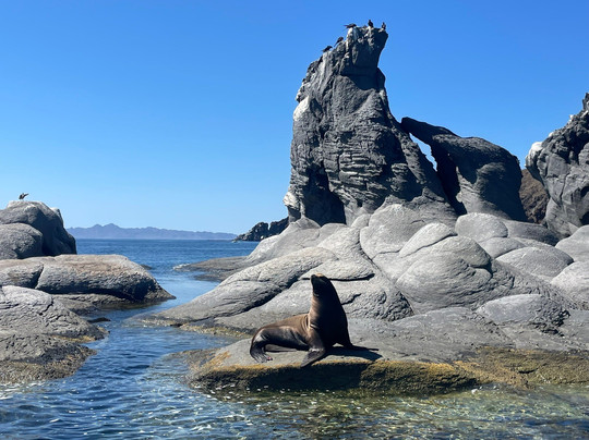 Isla Carmen-下加利福尼亚州必去景点