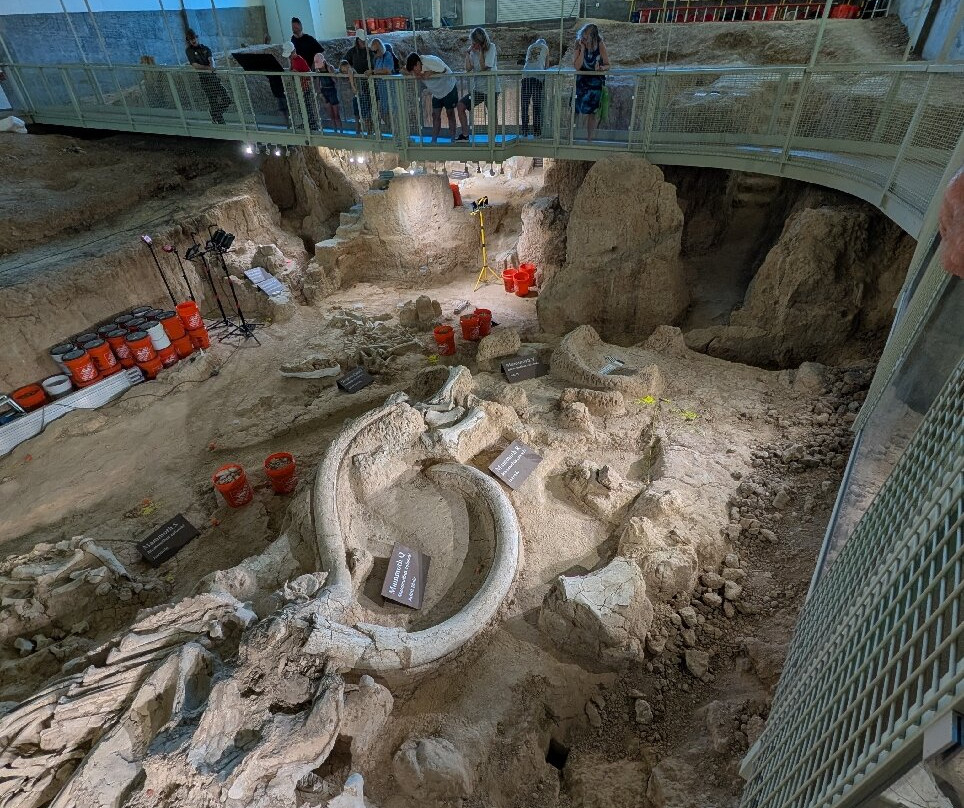 Waco Mammoth National Monument-韦科必去景点