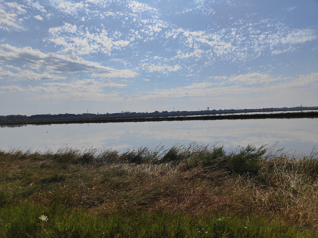Parco della Salina di Cervia-切尔维亚必去景点