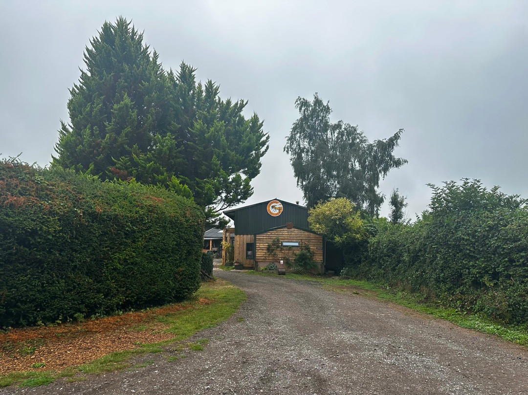 Dorset Nectar Cider-布里德波特必去景点