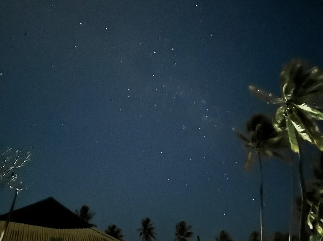 Nukubati Great Sea Reef主图