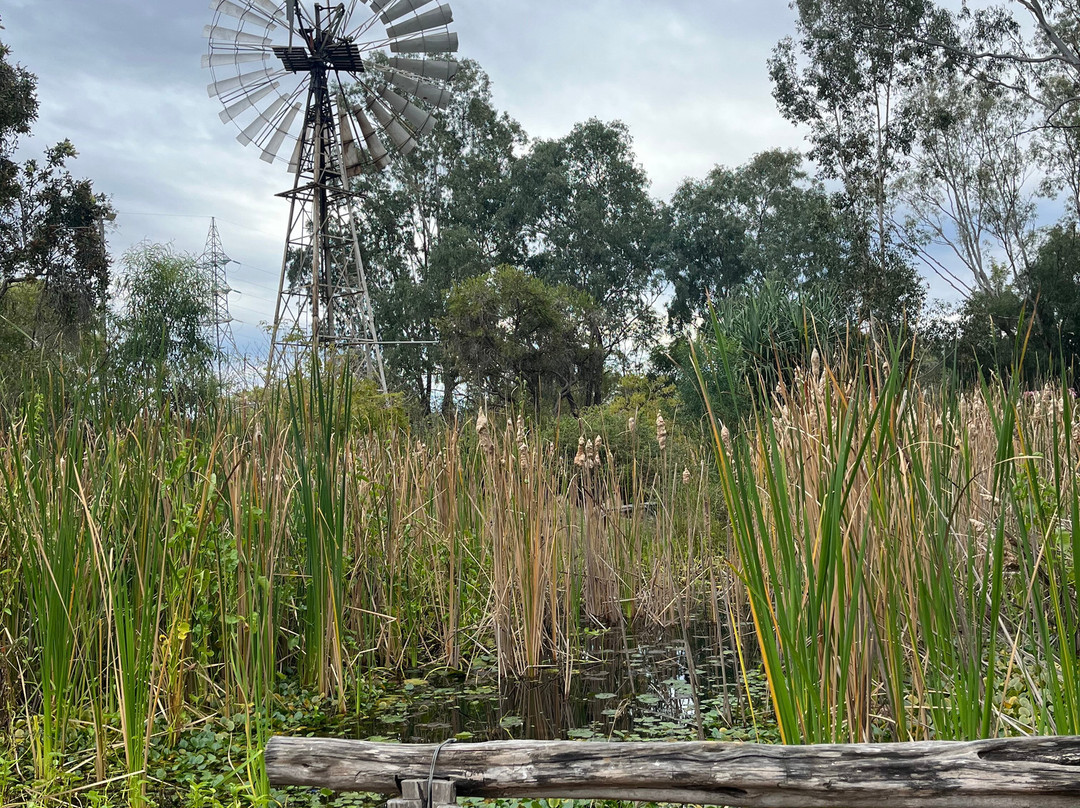 Botanic Gardens-Emerald必去景点