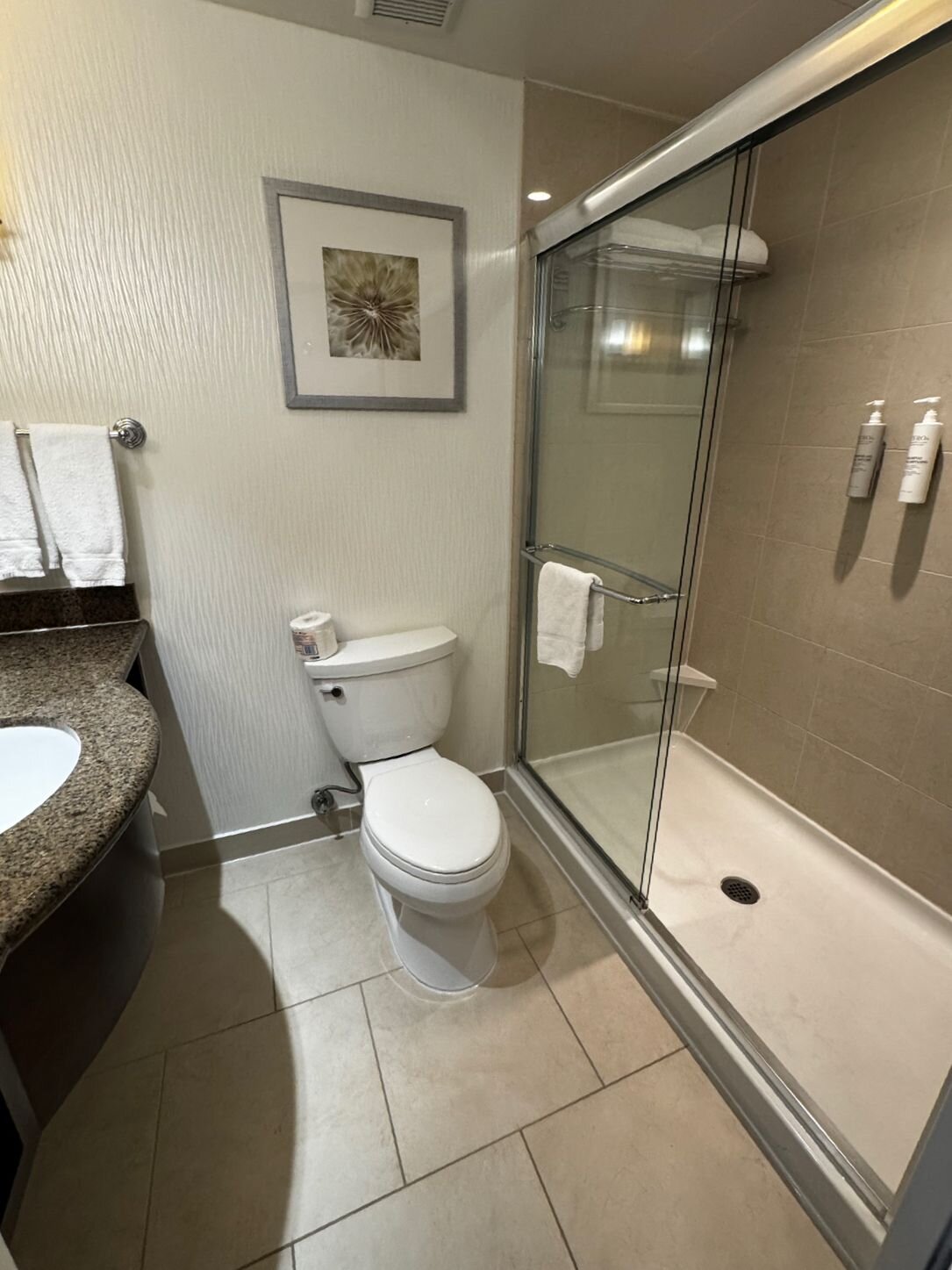 多伦多机场西/米西索加希尔顿花园酒店-浴室