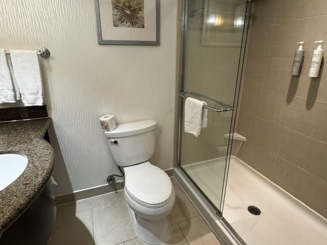 多伦多机场西/米西索加希尔顿花园酒店主图