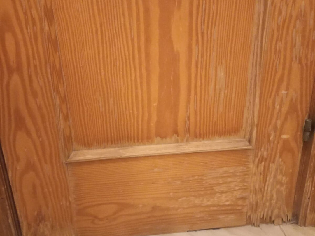 BLUESEA Callao Garden主图