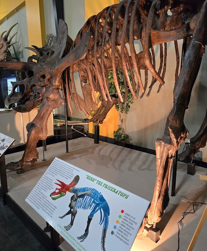 Great Plains Dinosaur Museum-Malta必去景点