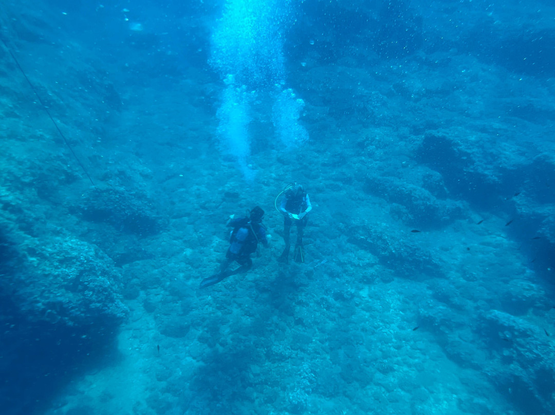 Dolphin Diving Center-Kanapitsa必去景点