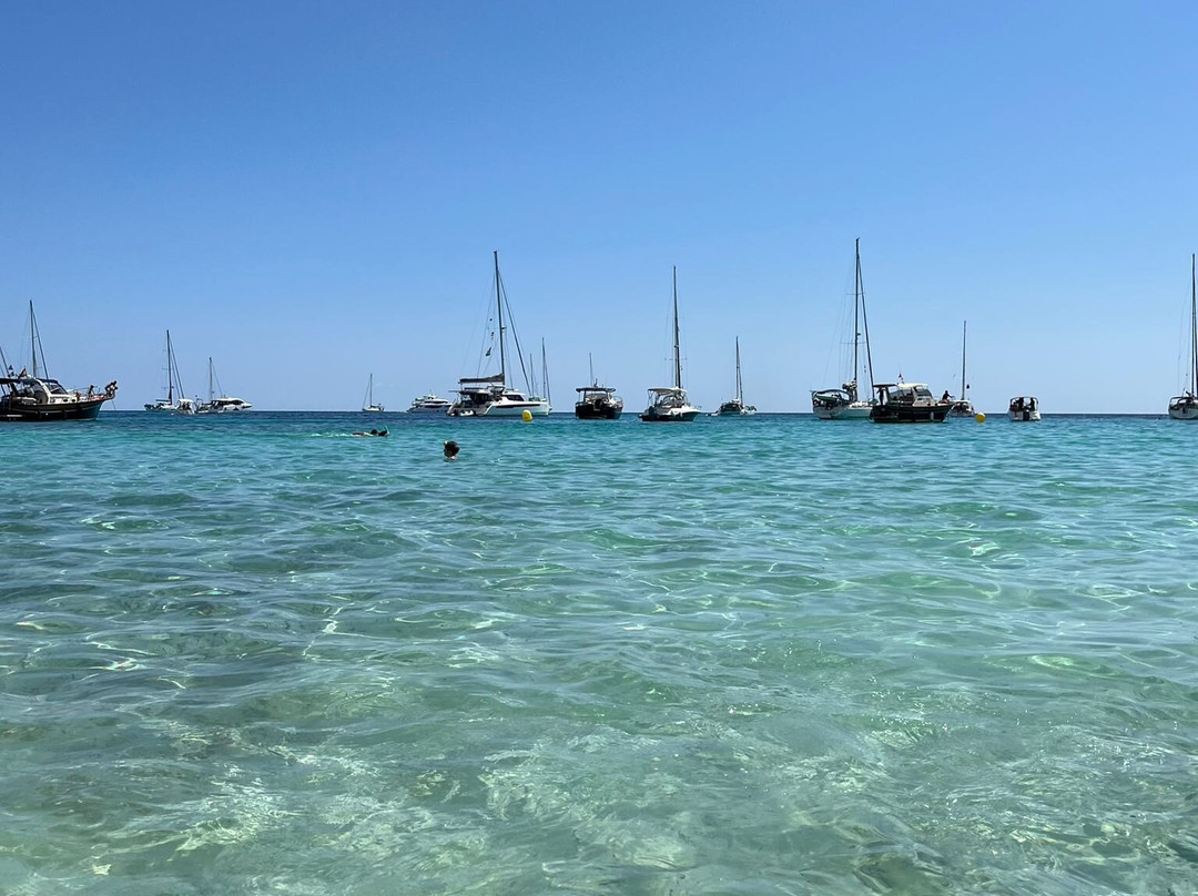 Platges de Son Saura-休达德亚必去景点