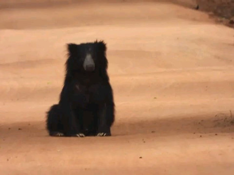 RS tour and cads-卡图纳耶克必去景点