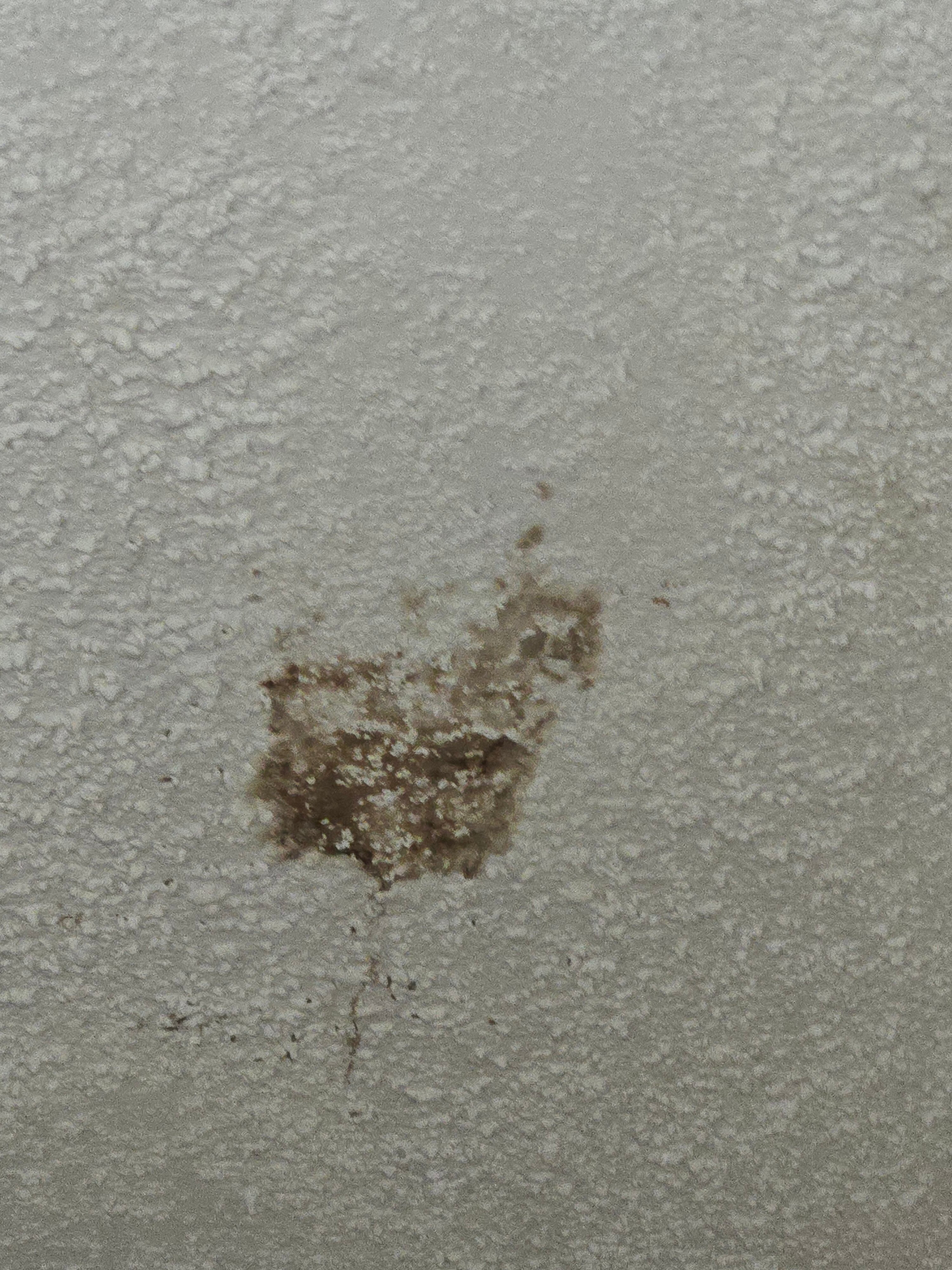 圣路易斯机场希尔顿酒店-客卧