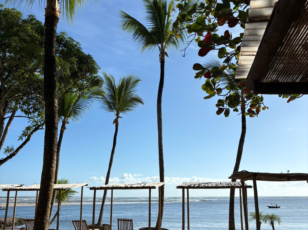 Praia da Concha-Itacare必去景点