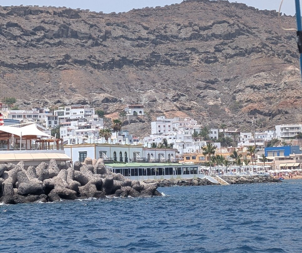 Olli Mar Excursions S.l.u.-Playa de Mogan必去景点