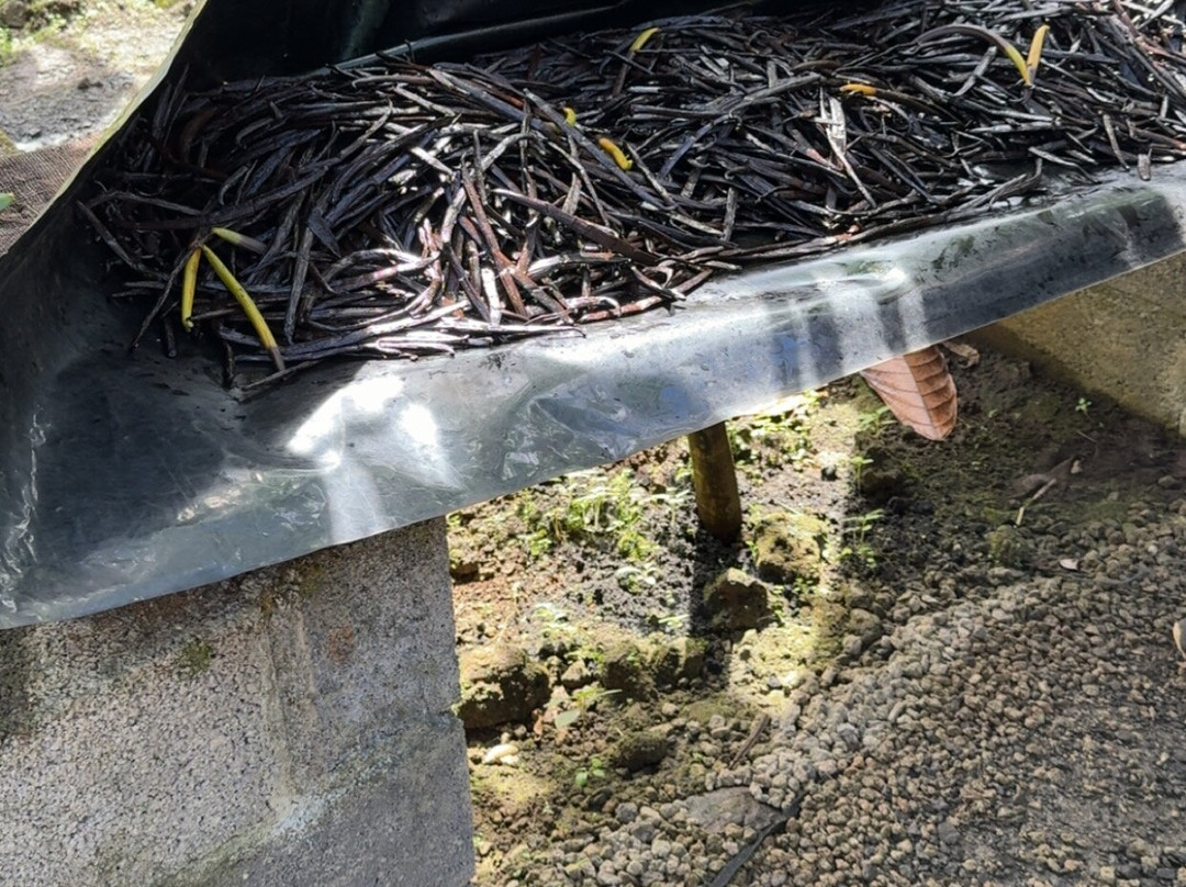 Le Jardin de la Vanille et l'Epice-路易士港必去景点