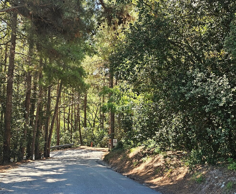 Spiaggia di San Michele-Sirolo必去景点