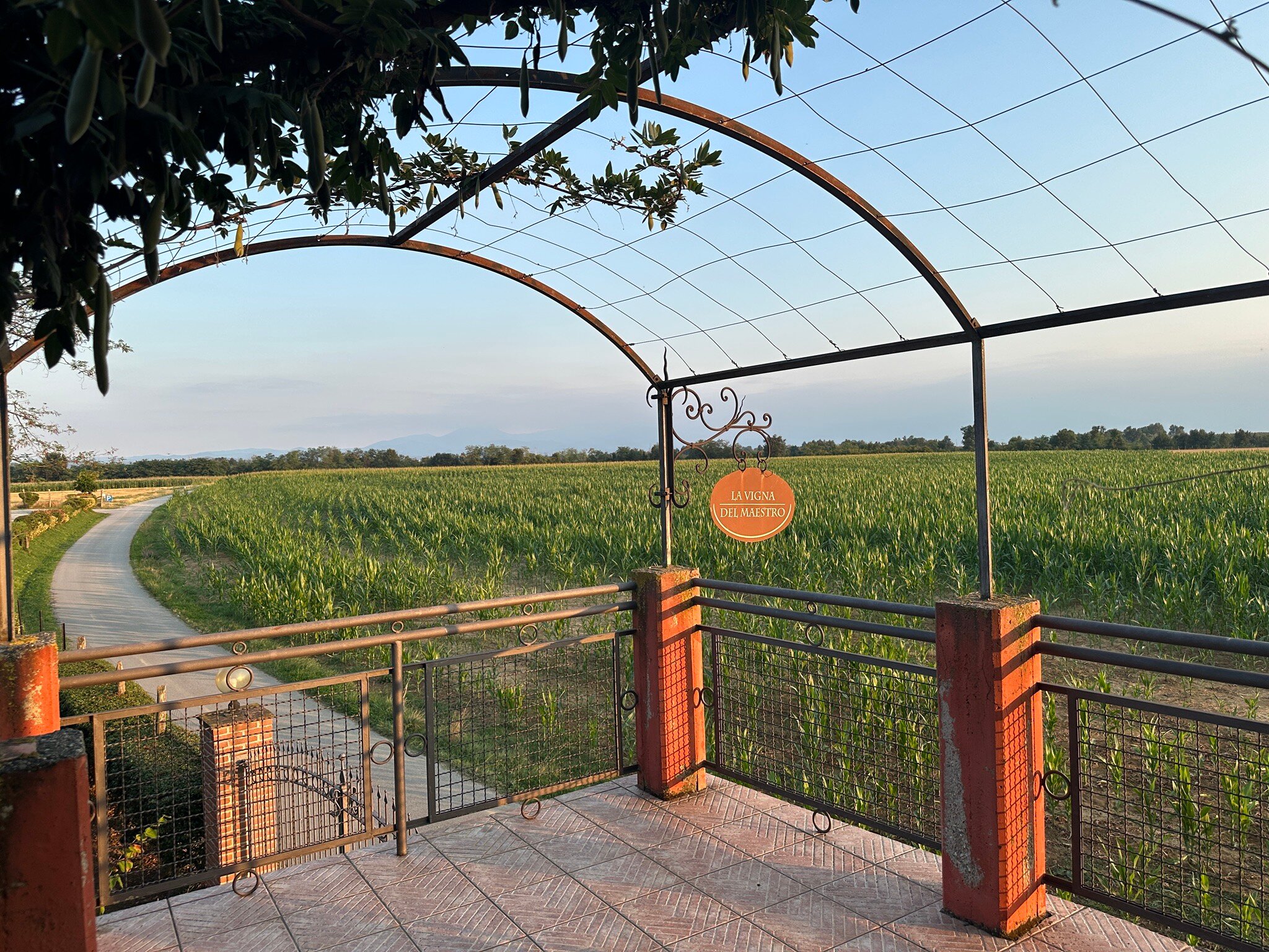 La Vigna Del Maestro-官方