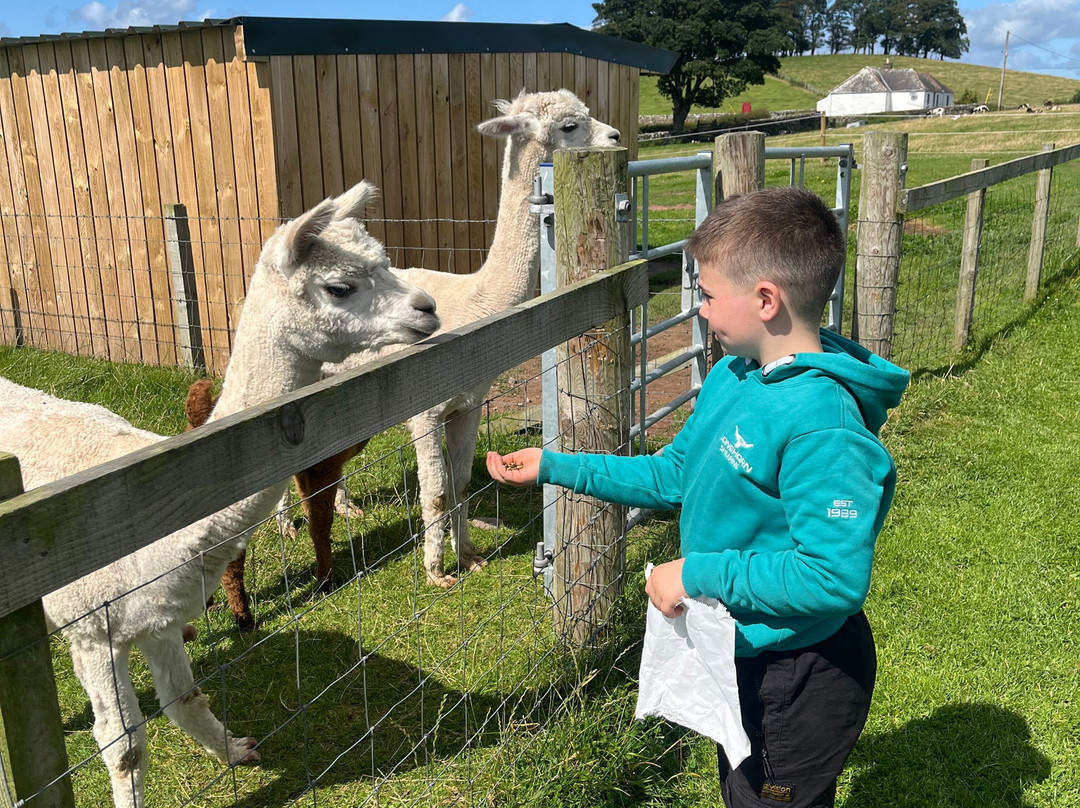 Ernespie Farm-Castle Douglas必去景点