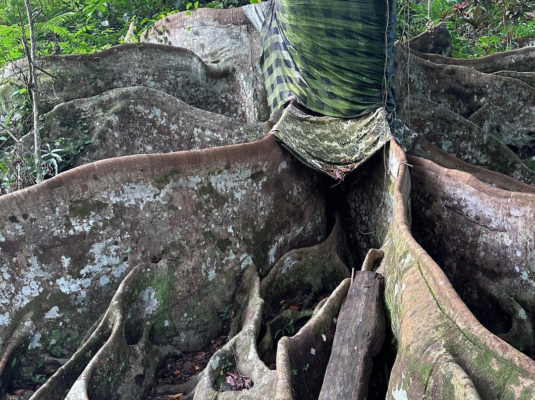 Bali Fascination Tour-Batubulan必去景点