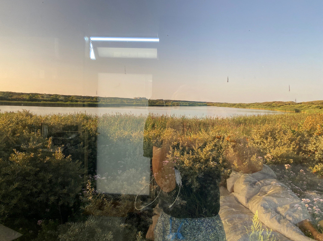 Basecamp IJmuiden主图