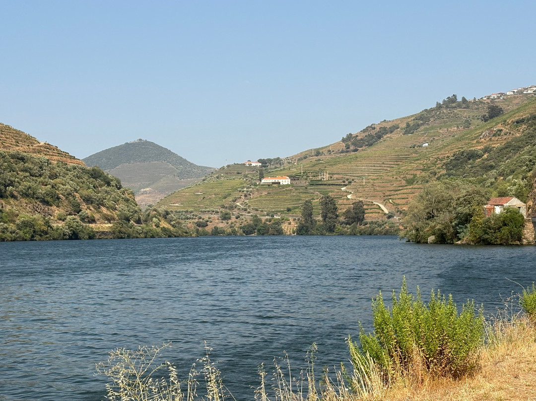 Douro Tabuaço-Taxis Raul Ferraz