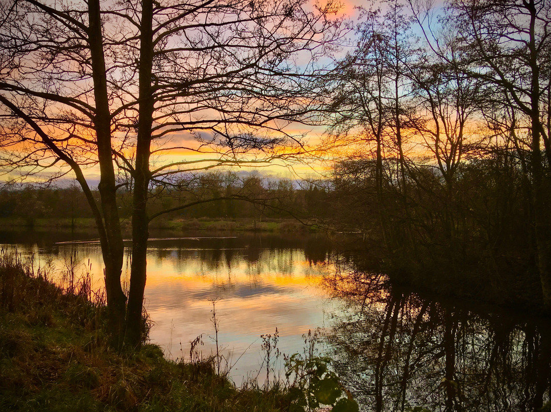 Orrell Water Park-Orrell必去景点