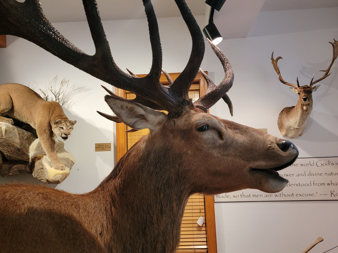 Bear-Ology-Plymouth必去景点