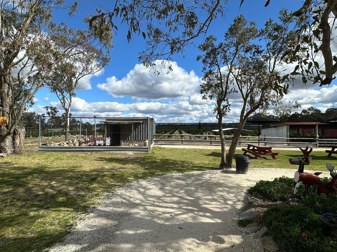 Granite Belt Christmas Farm-史丹霍普必去景点