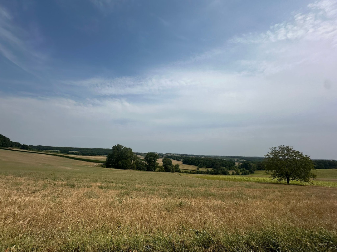 Randos en quad Off-Road Wine Tours-Eymet必去景点