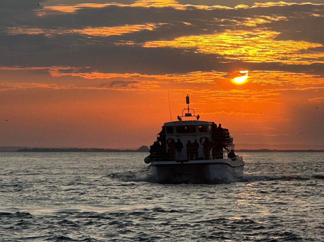 Holly Trees Bed and Breakfast主图