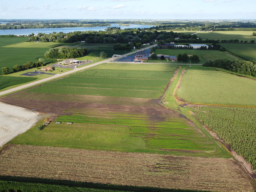 Selmi's Greenhouse and Family Farm-Rock Falls必去景点