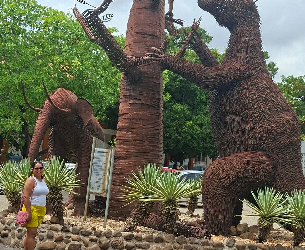 OURIQUE COMPANY / TURISMO DE EXPERIÊNCIA NA CHAPADA DOS VEADEIROS / SERRAS GERAIS / JALAPĀO / CHAPADA DIAMANTINA / CHAPADA DAS MESAS-上帕拉伊苏迪戈亚斯必去景点