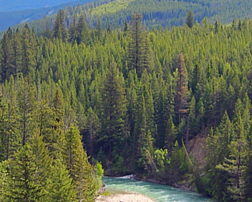 Kicking Horse River-戈尔登必去景点