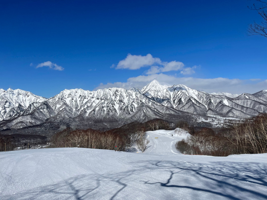 Togakushi Ski Area-长野县必去景点