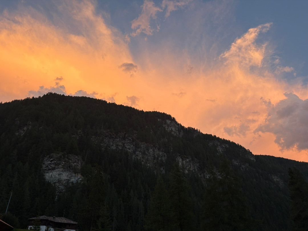 Aethos Monterosa主图