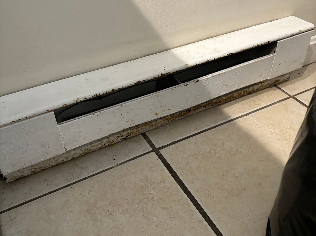 Sea Shell Motel主图