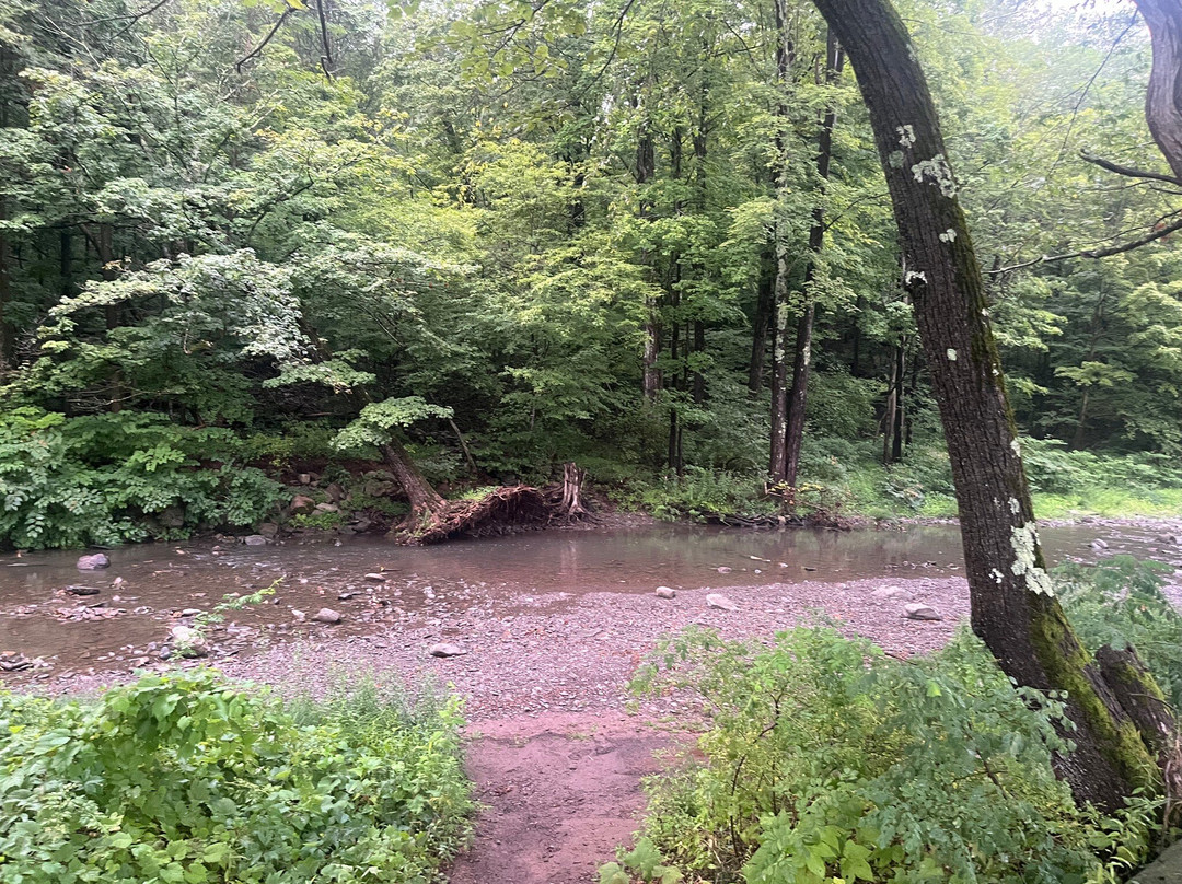 Angelo Canna Town Park