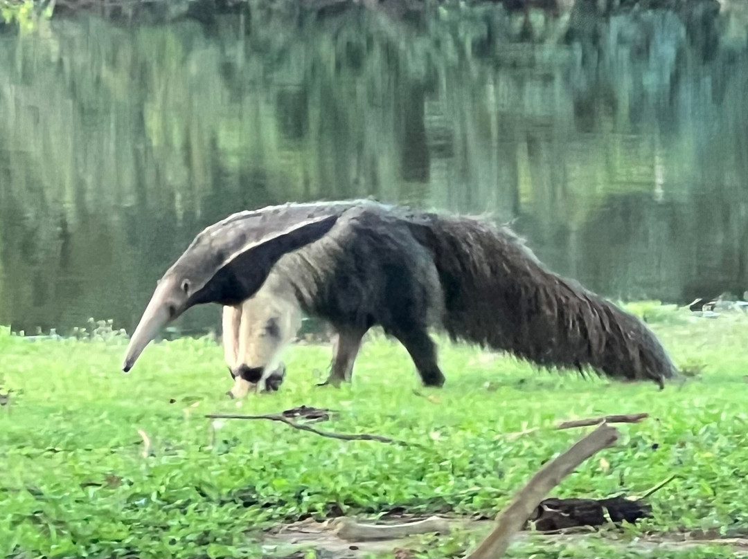 El Encanto de Guanapalo Reserva Natural-San Luis de Palenque必去景点