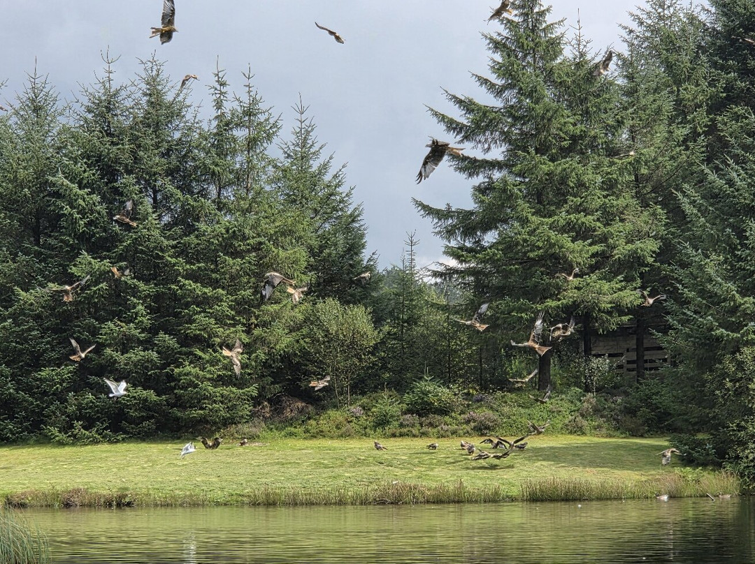 Bwlch Nant yr Arian Forest Visitor Centre-阿伯里斯特威斯必去景点