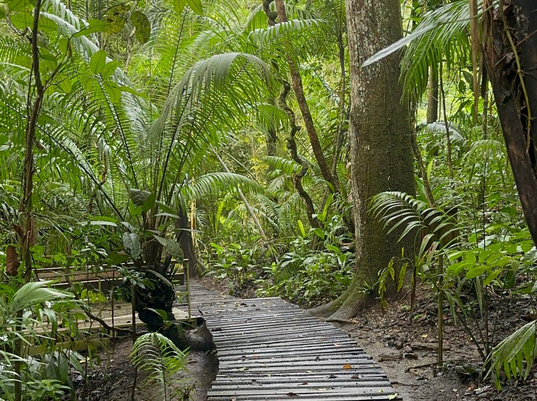 Panama Rainforest Discovery Center-甘博阿必去景点