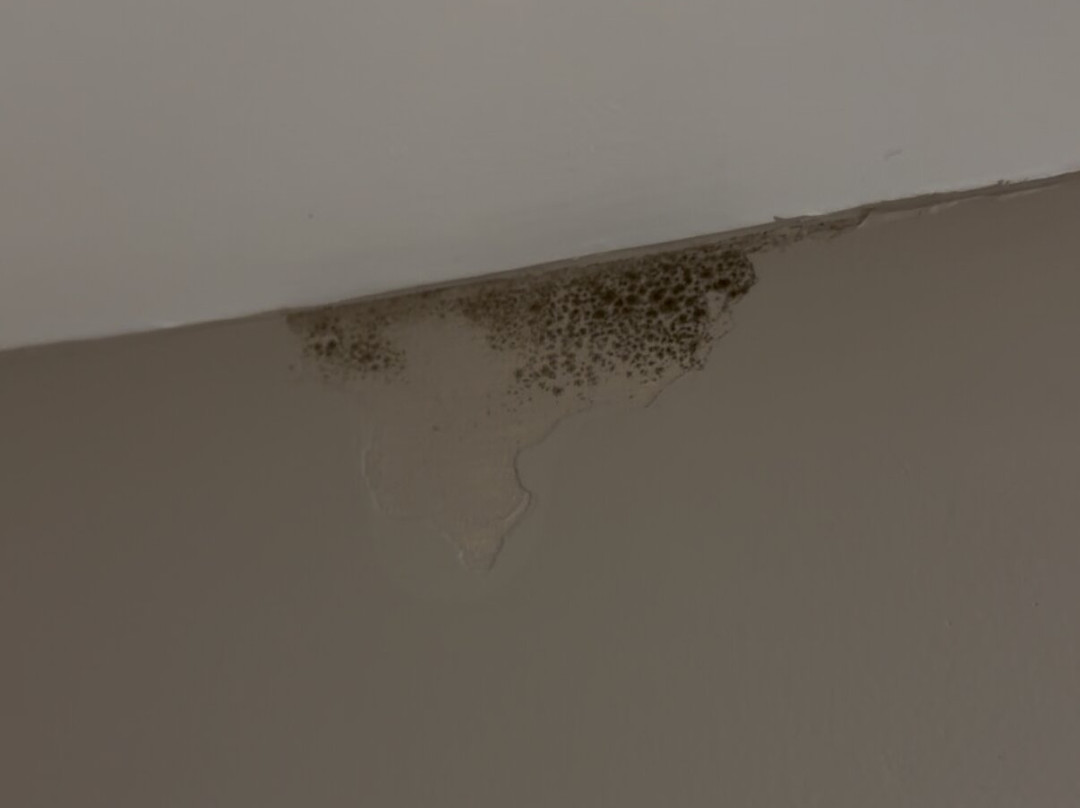 Super 8 by Wyndham Henrietta / Rochester Area主图