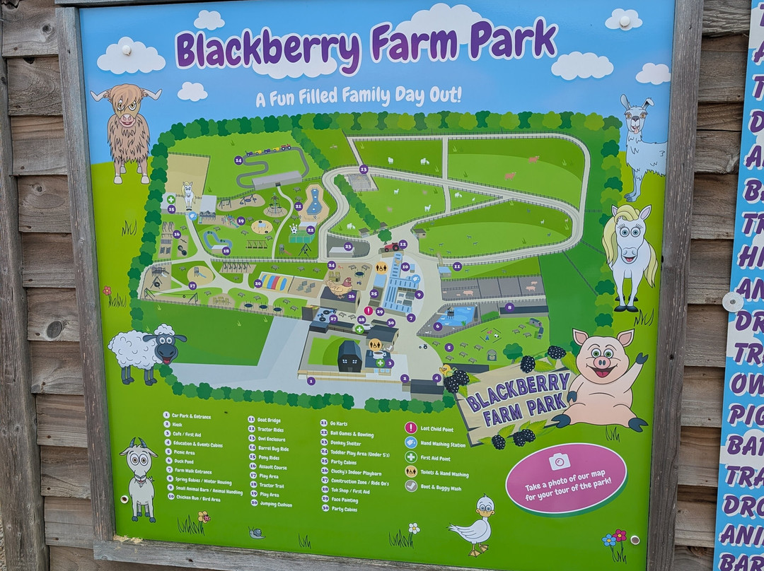 Blackberry Farm Park-刘易斯必去景点